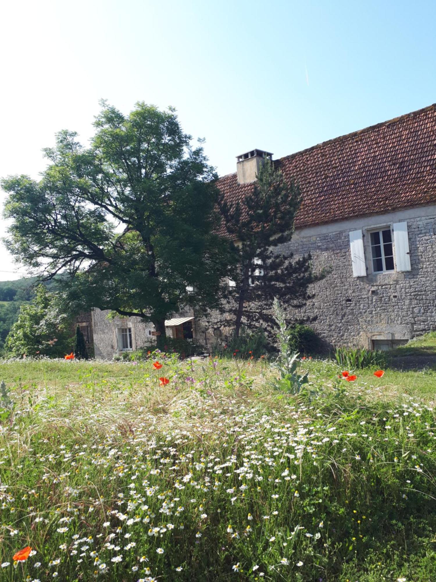 La Ferme De Roquedure Hotel Montfaucon  Bagian luar foto